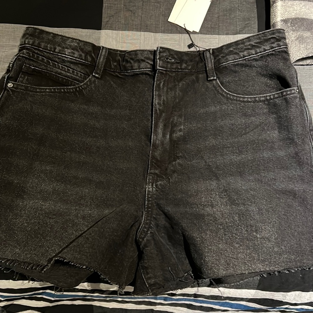 ZARA shorts